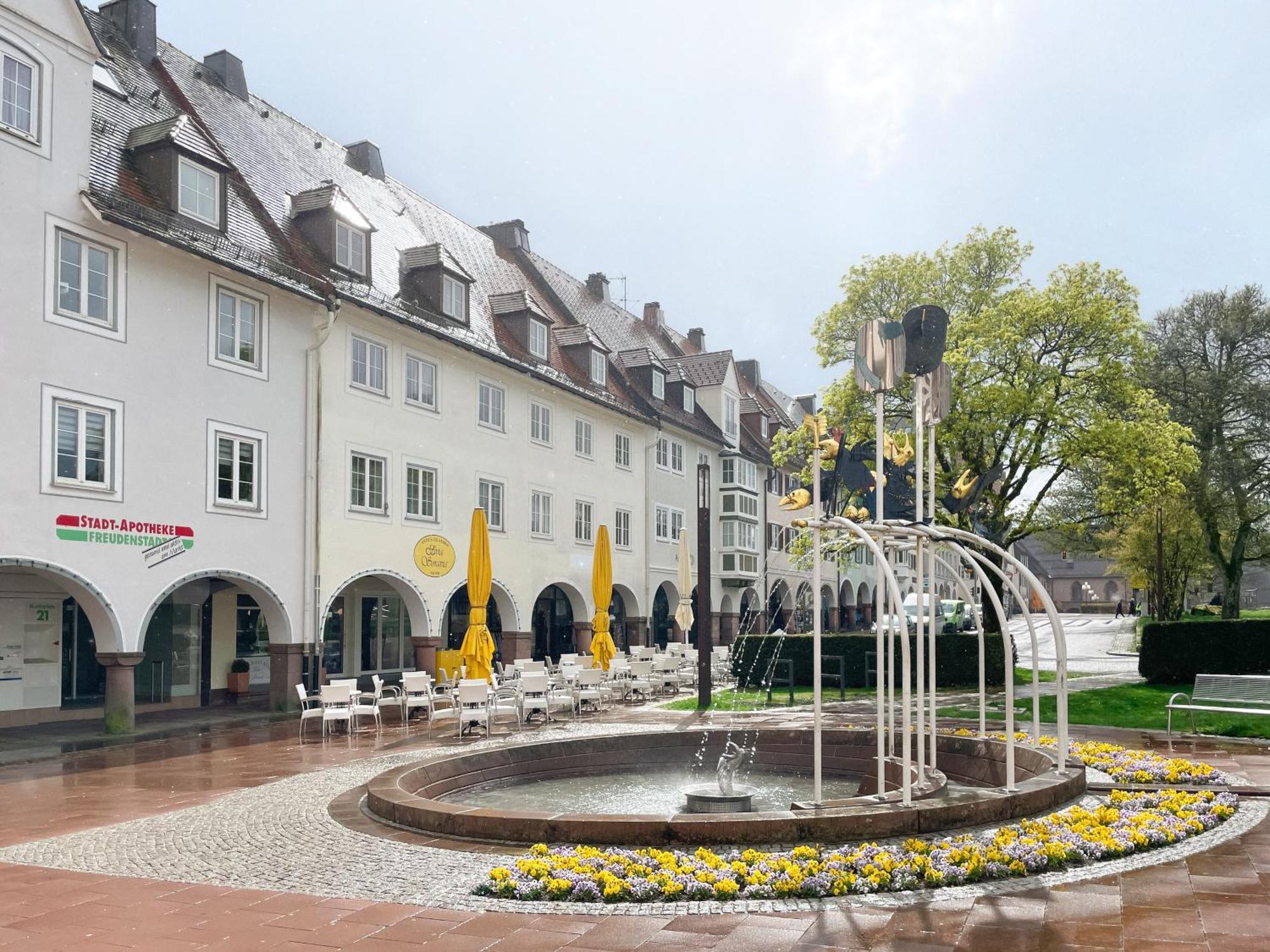 Markt 22 Am Marktplatz Landesgartenschau Фройденштадт Екстер'єр фото